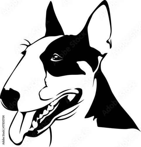 Leinwand Poster Bull Terrier - Portrait