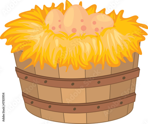 egg bucket