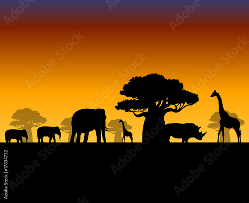 Tableau sur toile african savanna landscape vector