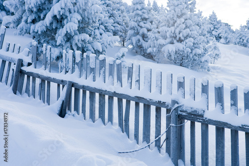 Fényképezés snowbound fences