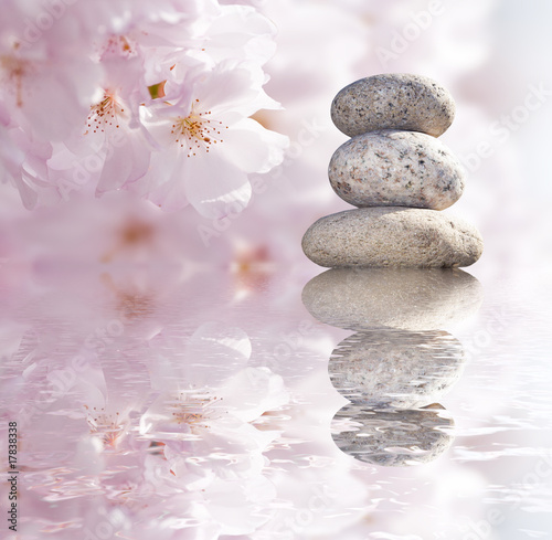Zen - Steine - Blüten