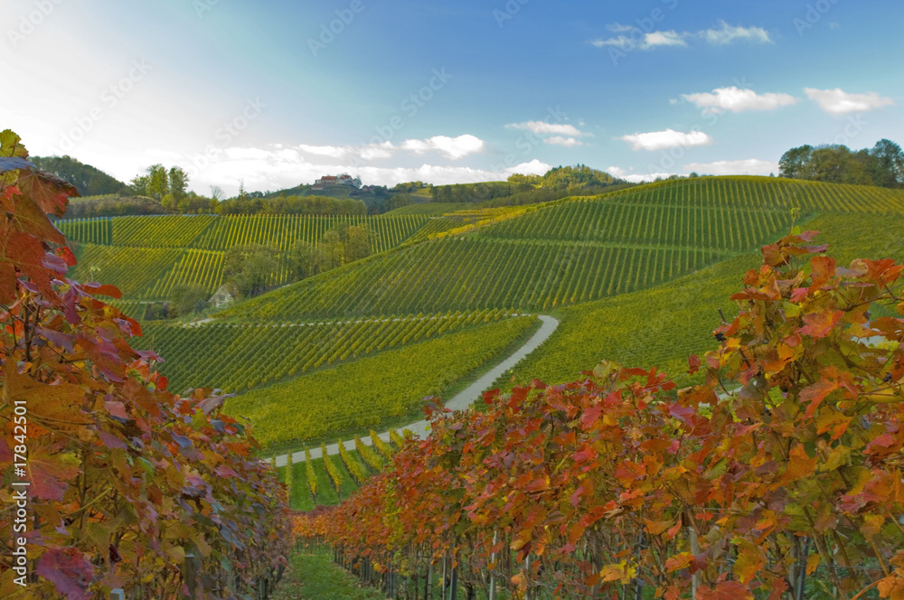 Durbacher Weinberge im Herbst