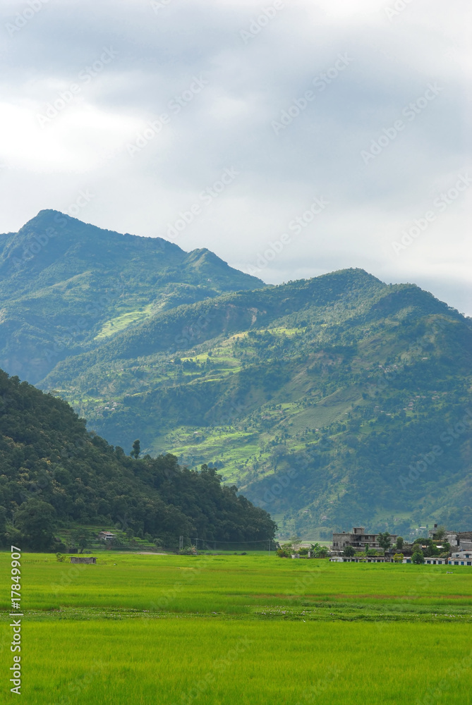 landscape of fewa lake,nepal