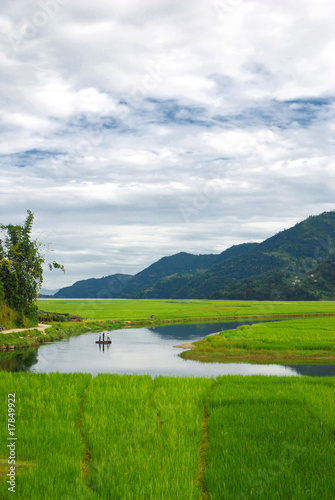 Farmers in the water reflection fewa lake nepal