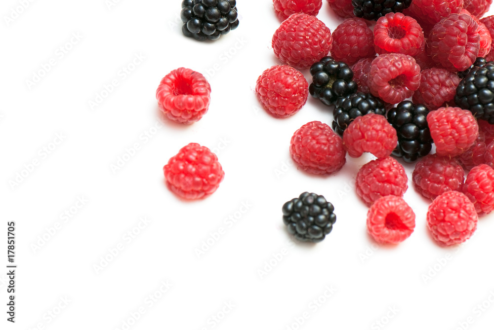 blackberry and raspberry blackberry and raspberry