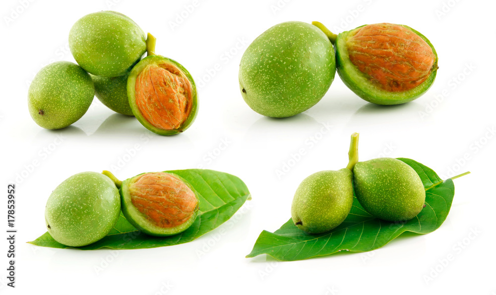 Set of Ripe Green Walnuts Isolated on White Set of Ripe Green Walnuts Isolated on White