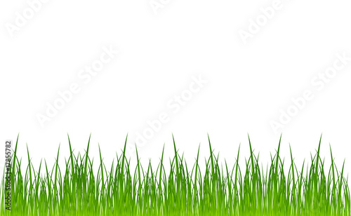 vector grass template