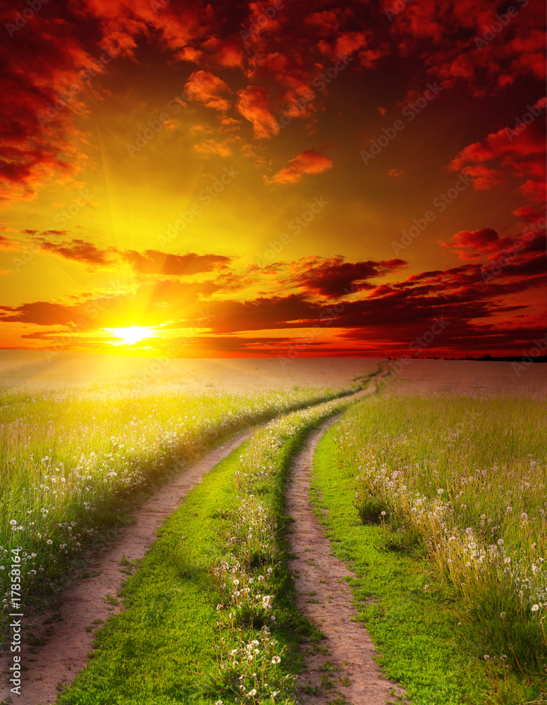 Obraz premium Sunset