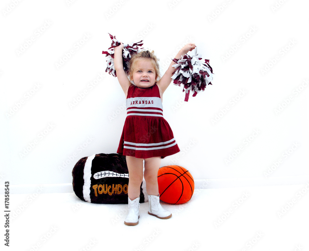 Fototapeta premium Arkansas Fan