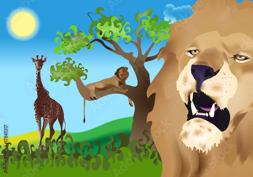 Leoni e giraffa