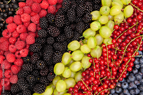 different berries rich in vitamins