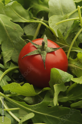 Pomodoro ciliegino su rucola selvatica photo