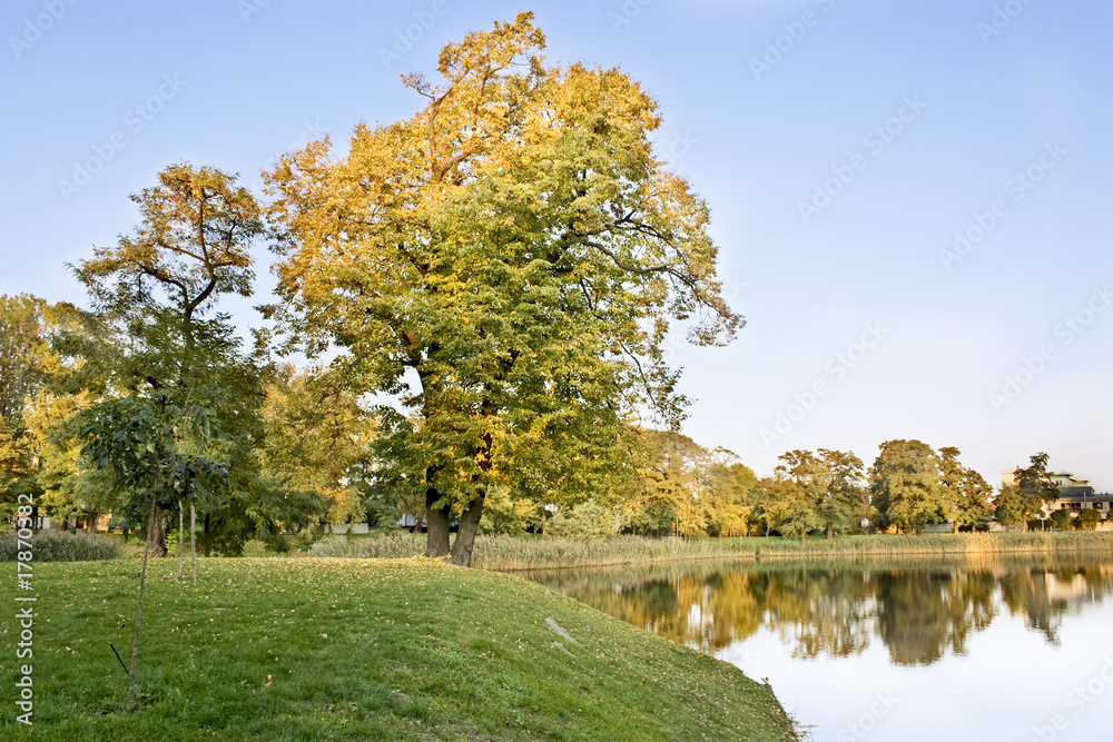 Seasons-fall
