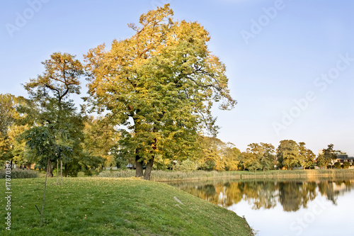 Obraz na płótnie Seasons-fall w salonie