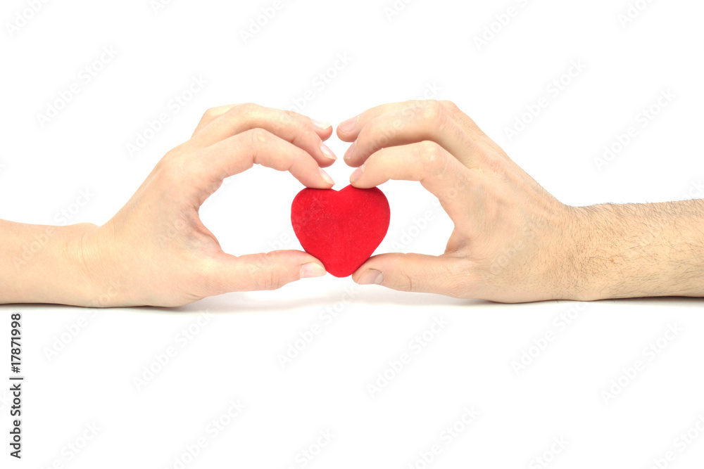 Obraz premium The Heart in hands.