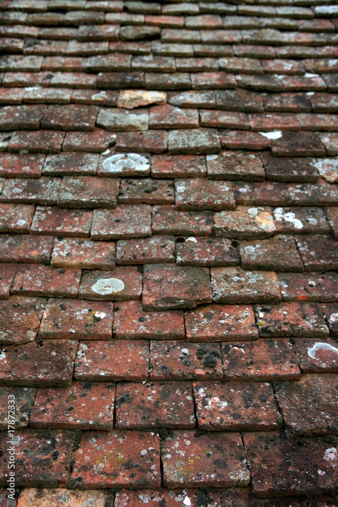 Architectural grunge aged roof clay tiles Architectural grunge aged roof clay tiles