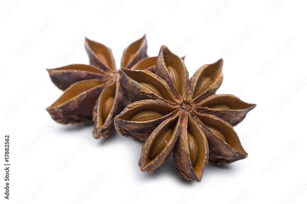 Sternanis Sternanis