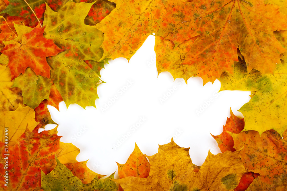 Autumn leaves border Autumn leaves border