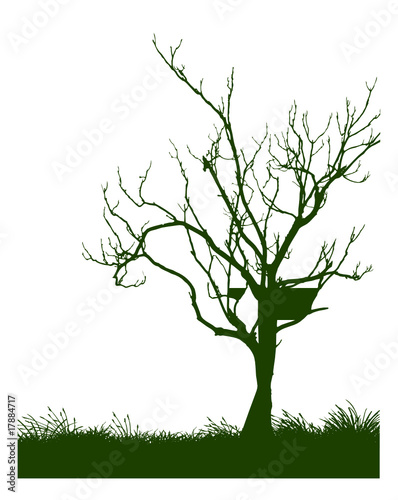 tree