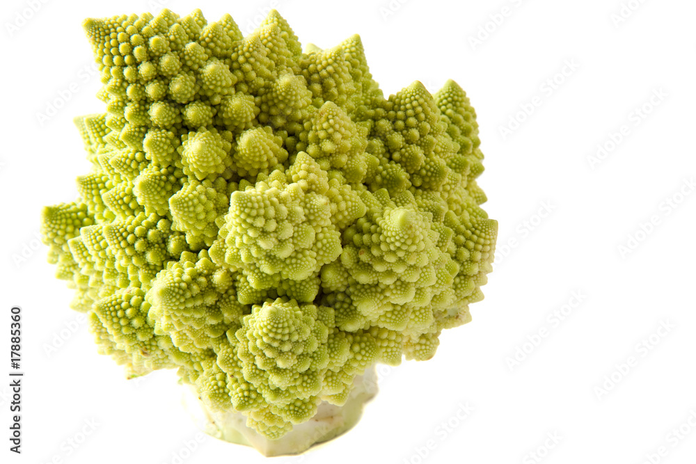 Romanesco Broccoli High Key Romanesco Broccoli High Key