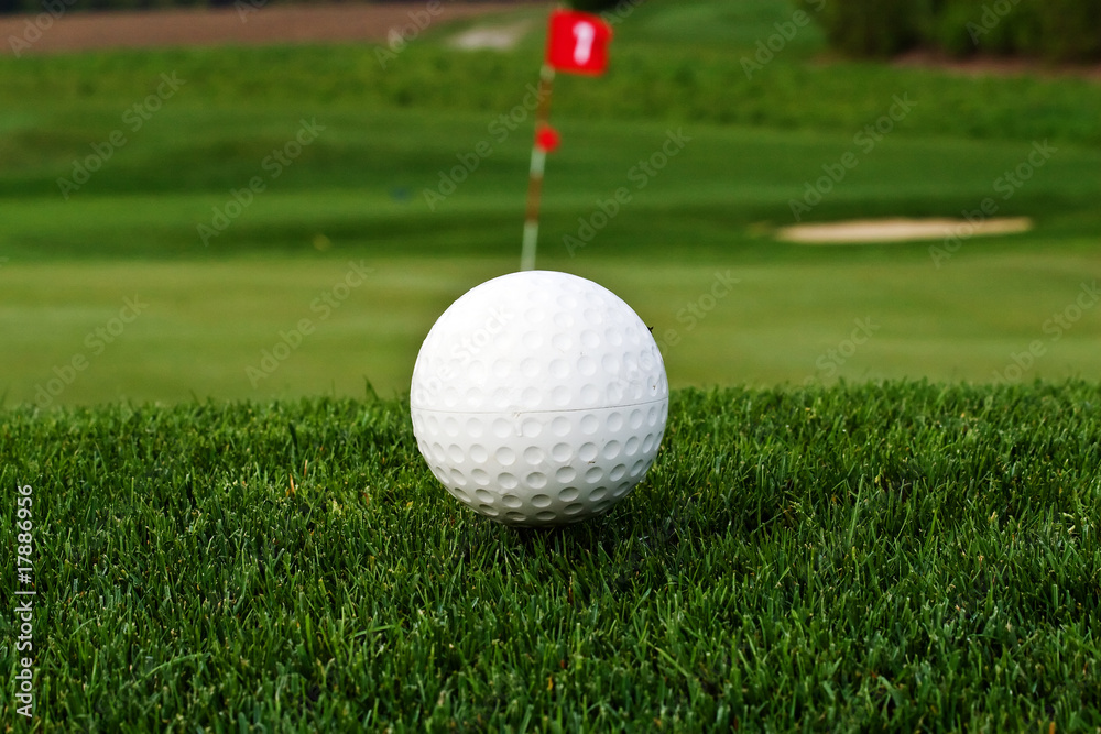 Obraz premium Golf course