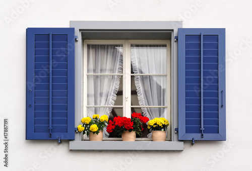 windows with flowers in hanging flower pots