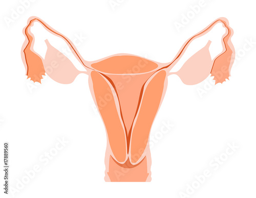 Utero1
