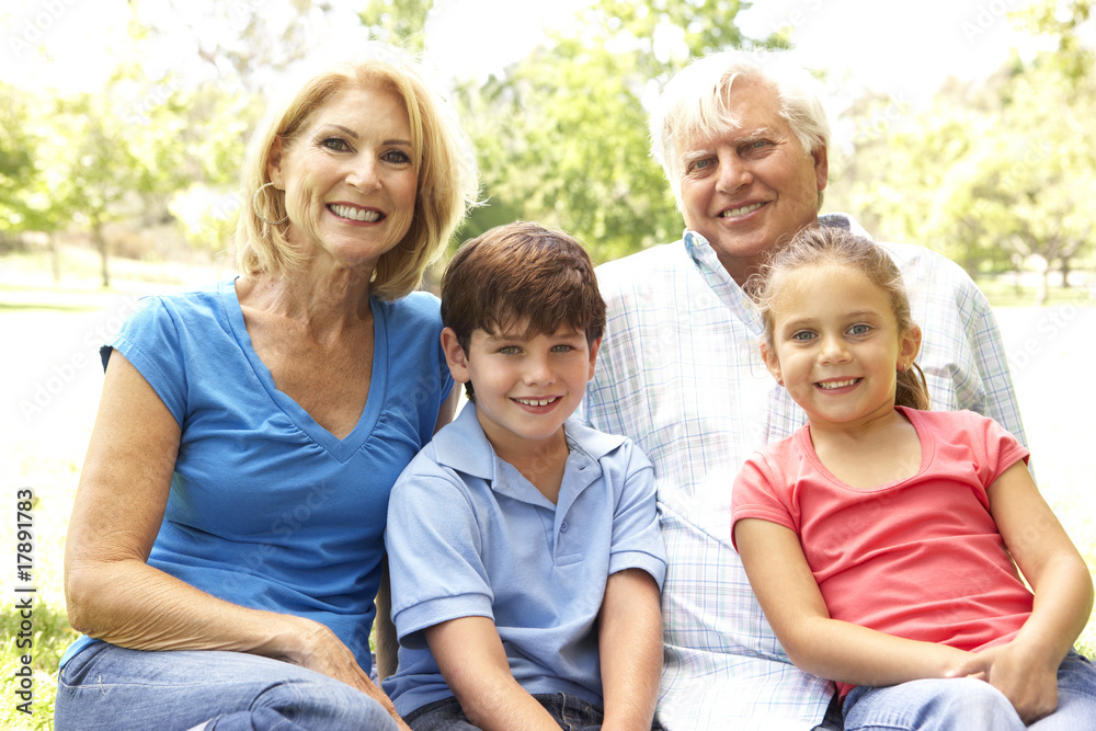 Grandparents And Grandchildren Enjoying Day In Park