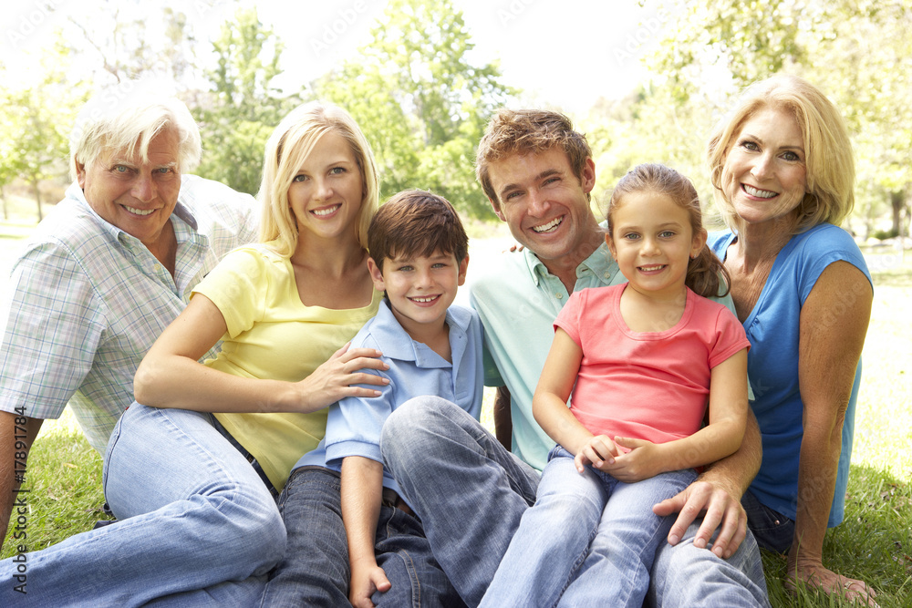 Fototapeta premium Extended Group Portrait Of Family Enjoying Day In Park