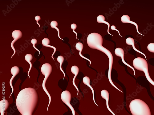 Sperm