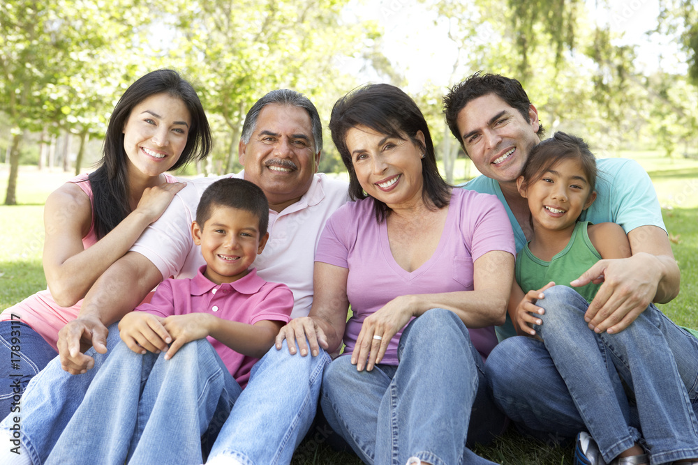 Fototapeta premium Portrait Of Extended Family Group In Park