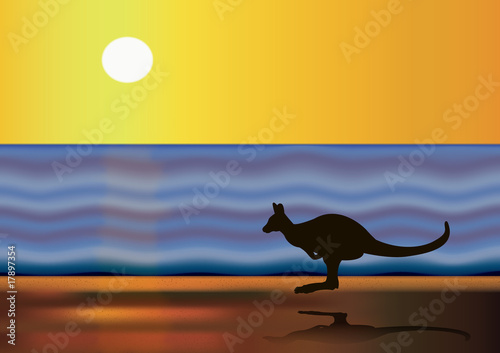 Canguro en la playa