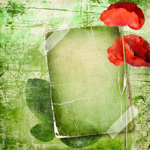 old photoalbum ith poppy flowers
