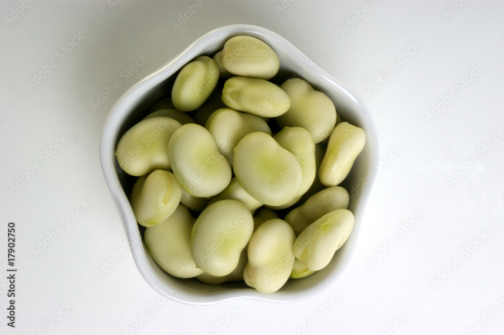 organic broad beans and a white background organic broad beans and a white background