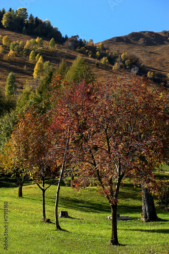 autunno photo