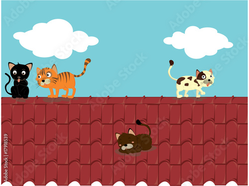 cats
