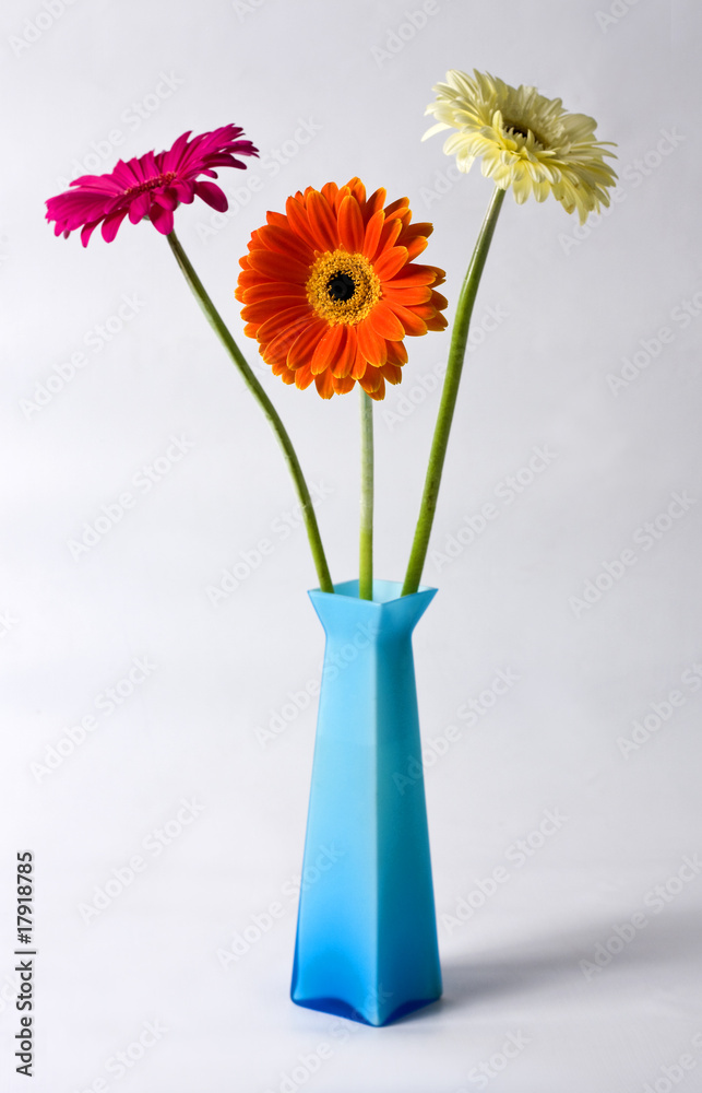 Obraz premium Bunch of beautiful spring flowers.