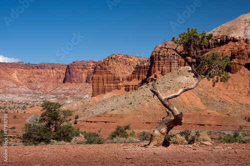 Capitol Reef National Park
