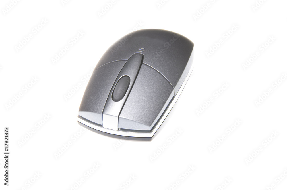 Computer mouse isolated on the white background Computer mouse isolated on the white background