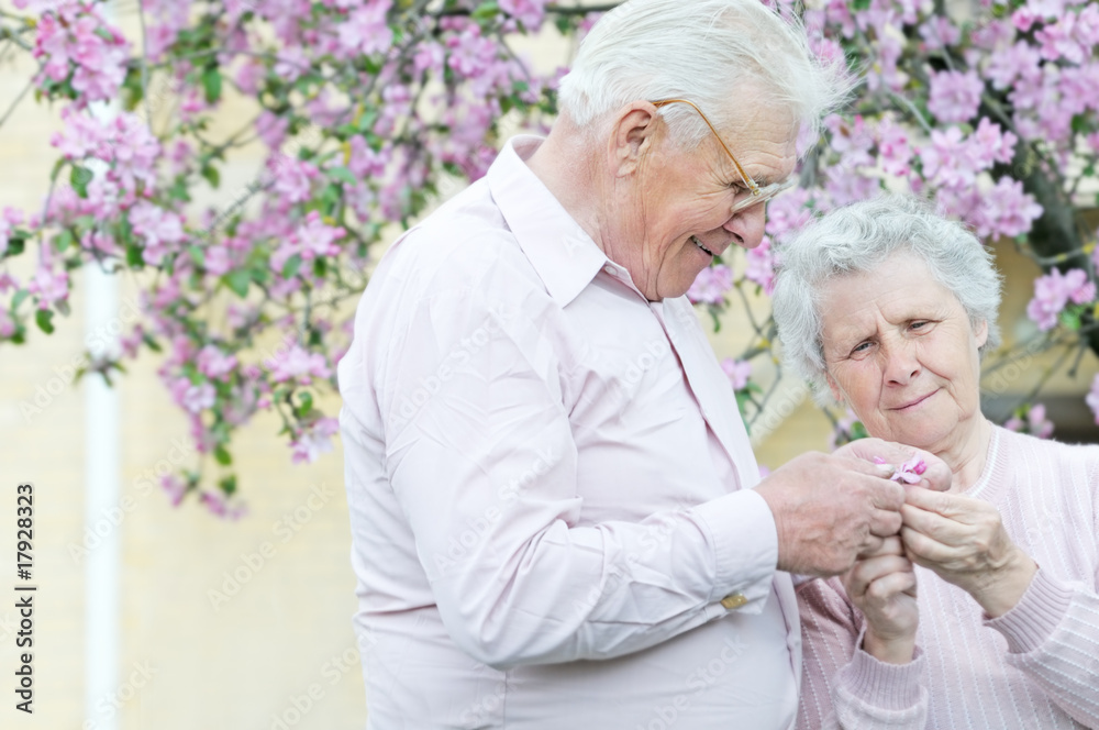 pretty old pair hold in hands flower pretty old pair hold in hands flower