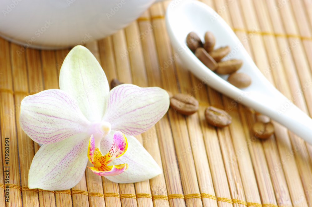coffee beans with spoon and orchid flower coffee beans with spoon and orchid flower
