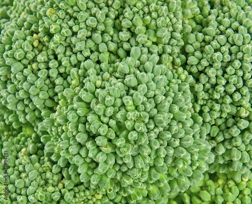 Fresh broccoli as background close-up