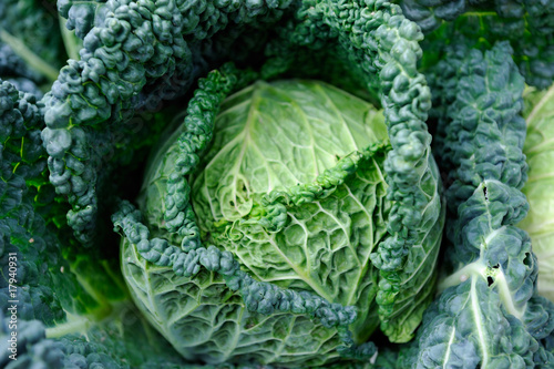 Wallpaper Mural cabbage - vegetable market Torontodigital.ca