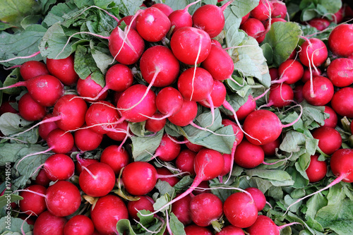 red radish - vegetable market