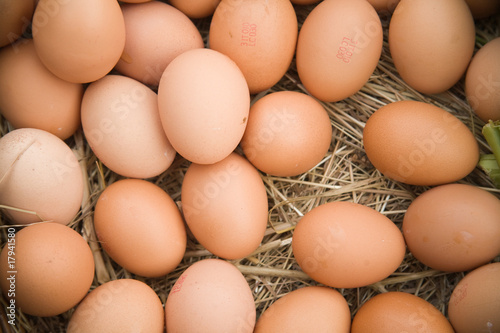 Eggs on straw