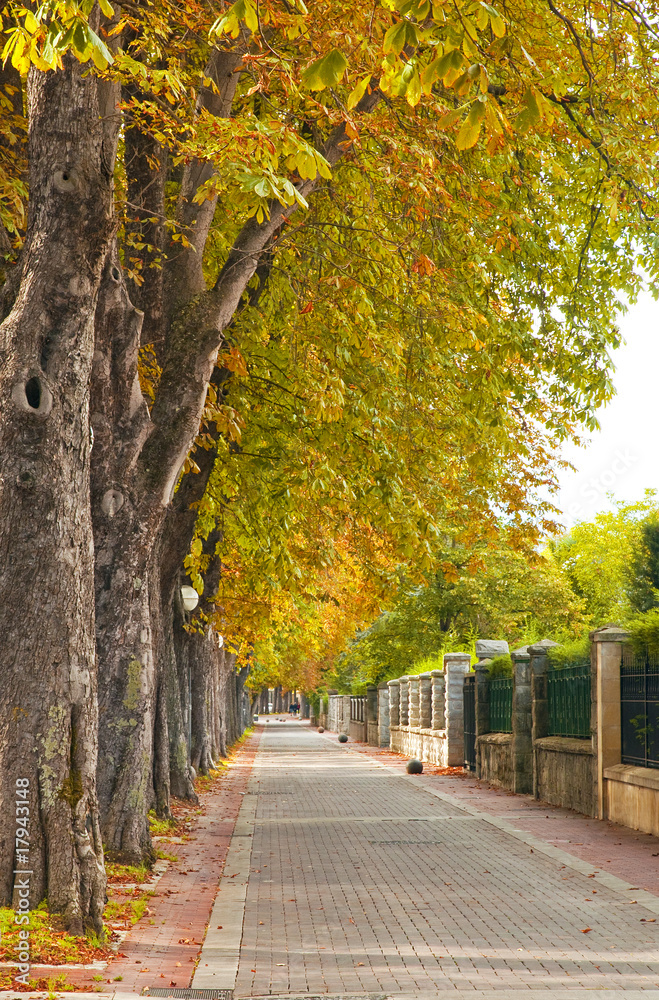 Naklejka premium Park in the city
