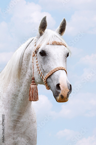arab head on sky