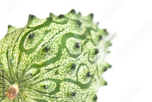 Kiwano photo