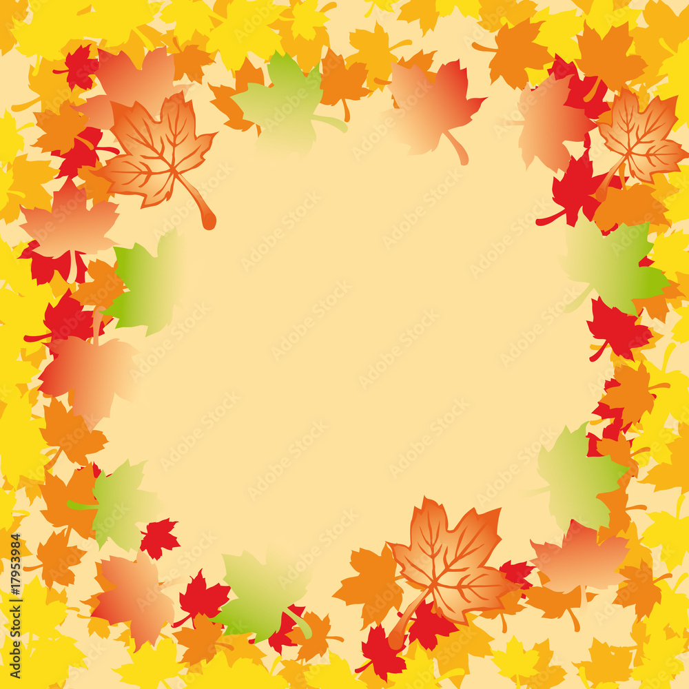 Fototapeta premium Mapple Autumn Leaves