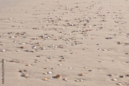 Sand with stones